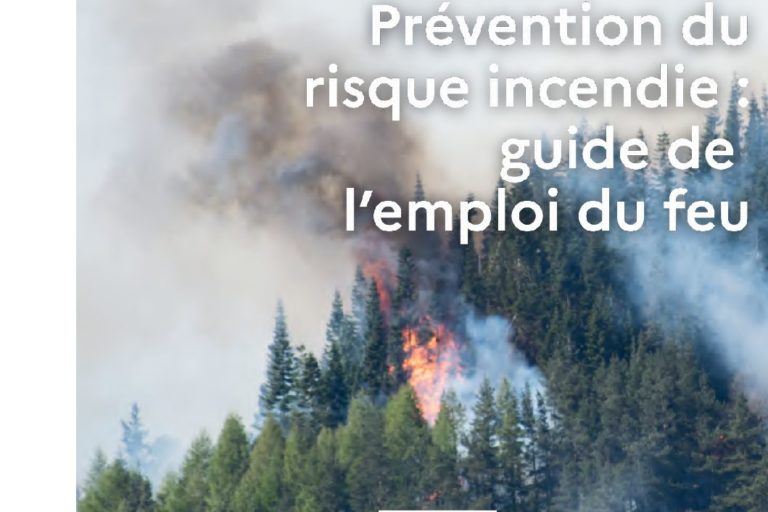 20250623_guide_synthetique_feu_prevention_feux_de_foret_r_web